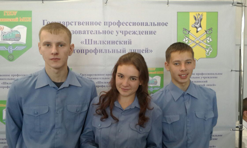 Лопата мпл армейская. Лопата пехотная малая мпл-50. Шилкинский мпл. Лопата пехотная мпл-50 размер. Шилкинский мпл.